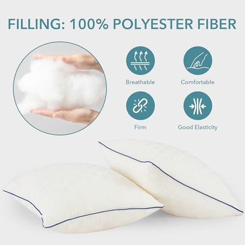 22x22 Pillow Inserts Set of 2 - Square Decorative Throw Pillows 22*22(2 Packs)