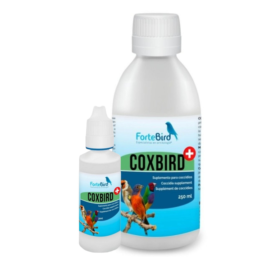 ForteBird CoxBird