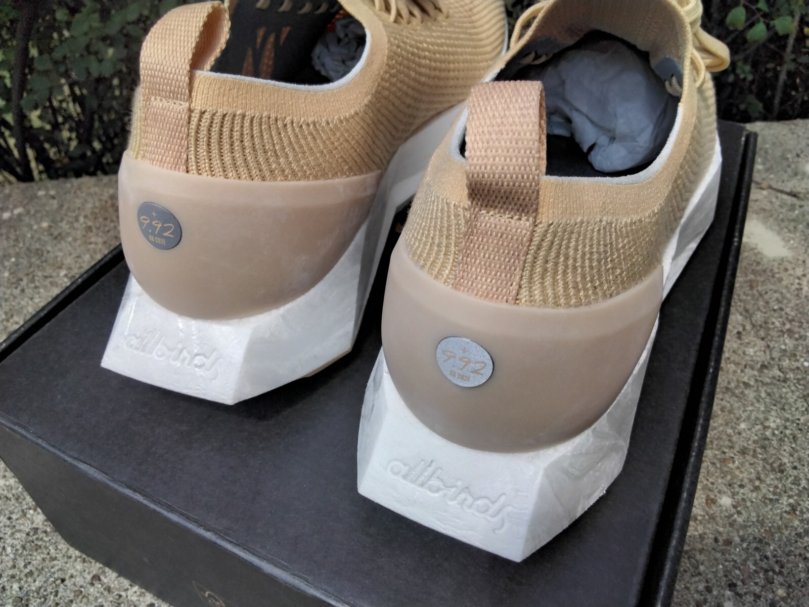 Allbirds Tree Flyer Running Shoes Walking RARE LUX BEIGE Mens 12 RARE NEW $160