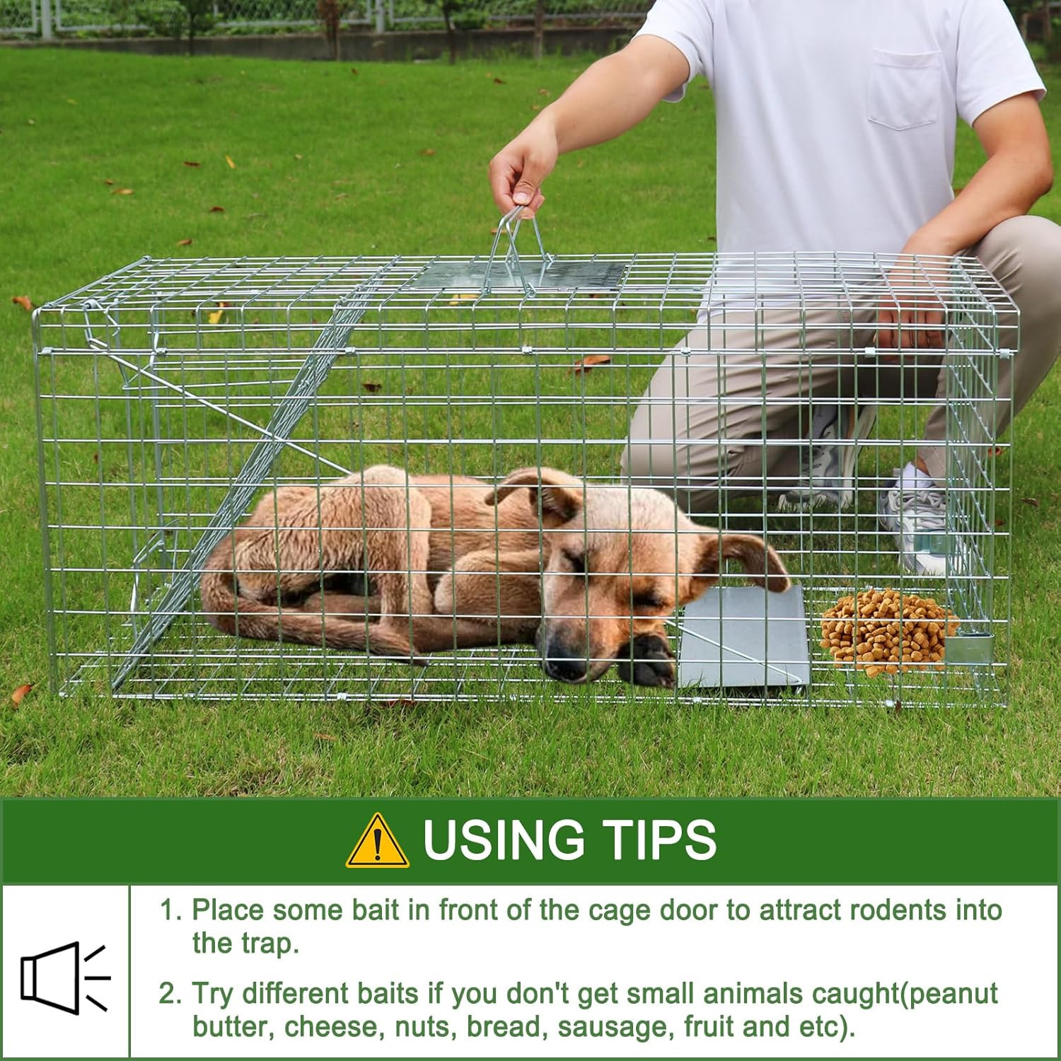 Humane Large Animal Trap for Fox, Raccoons & Coyotes - 42.5"x15"x17