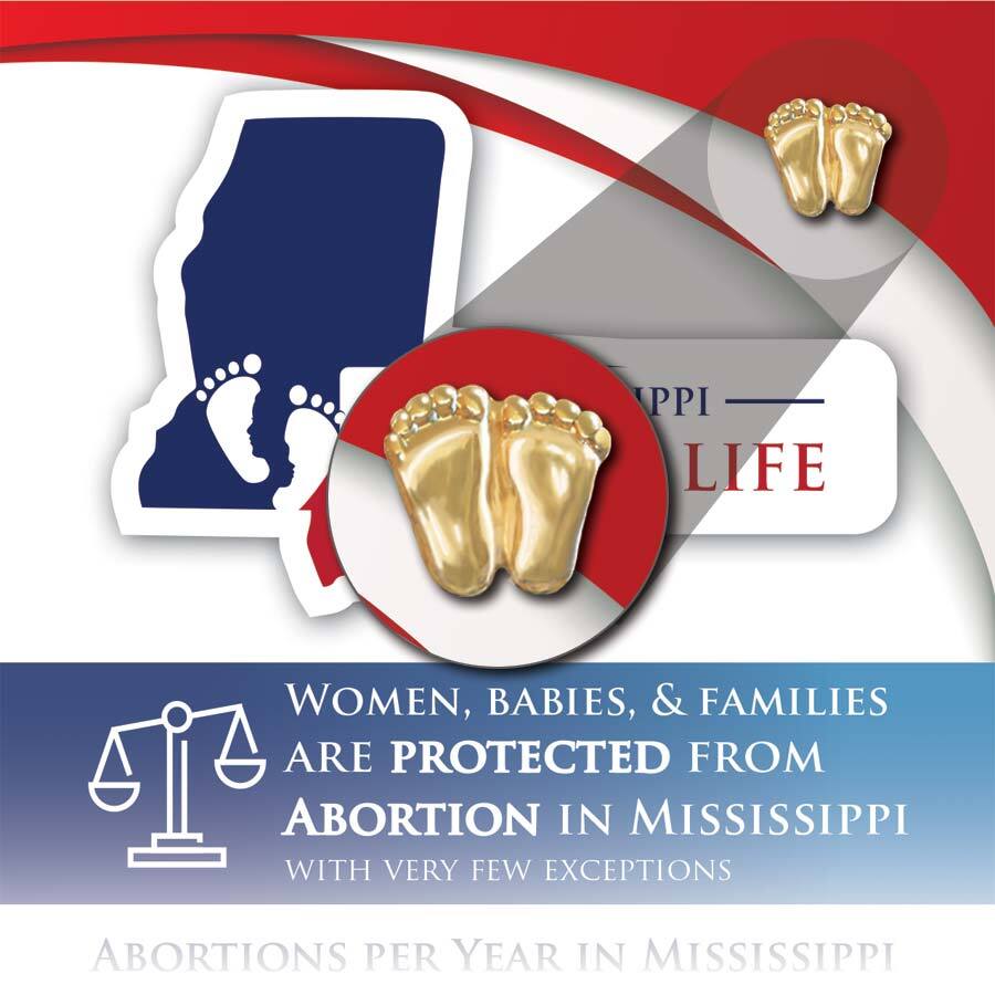 Precious Feet, Gold-Colored, Mississippi Stats Card Jewelry, Lapel Pin