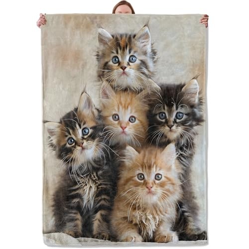 Cat Blanket, Kitten Flannel Blanket Gifts for Women, Soft Warm Lightweight Cat
