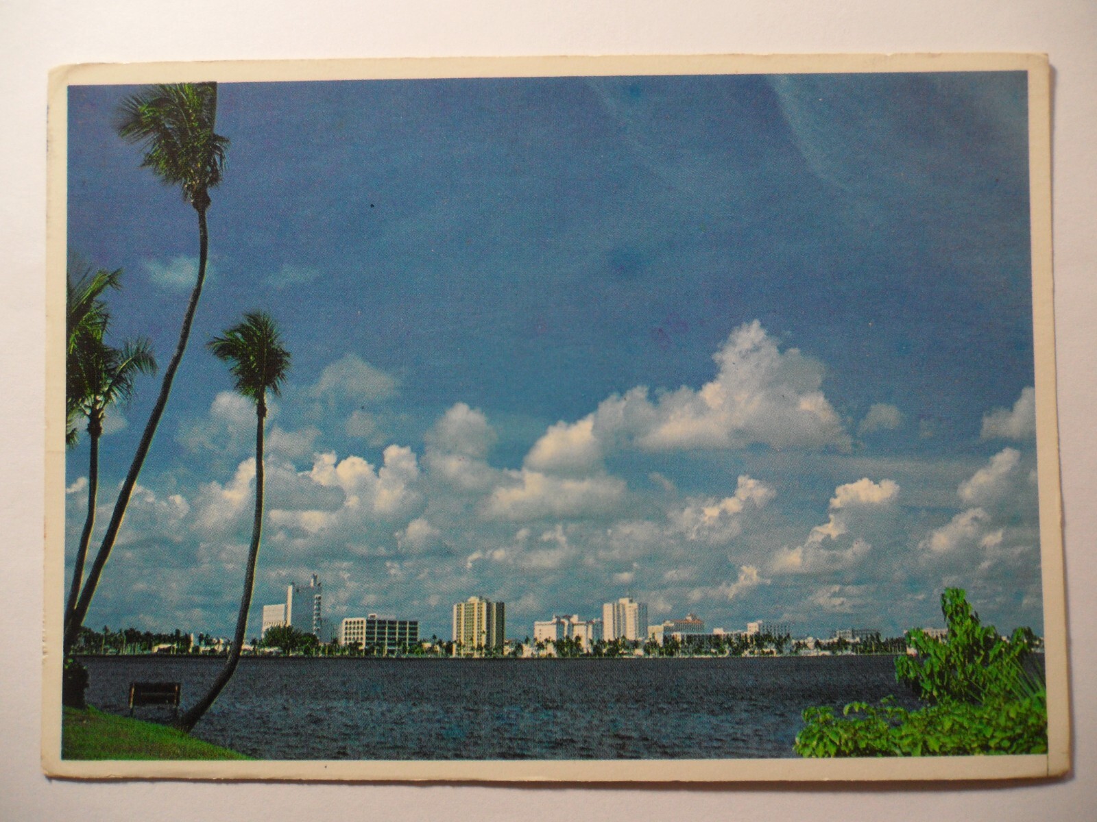 STAMPMART : USA SKYLINE OF TROPICAL PALM BEACH FLORIDA POSTCARD USED TO WASH.