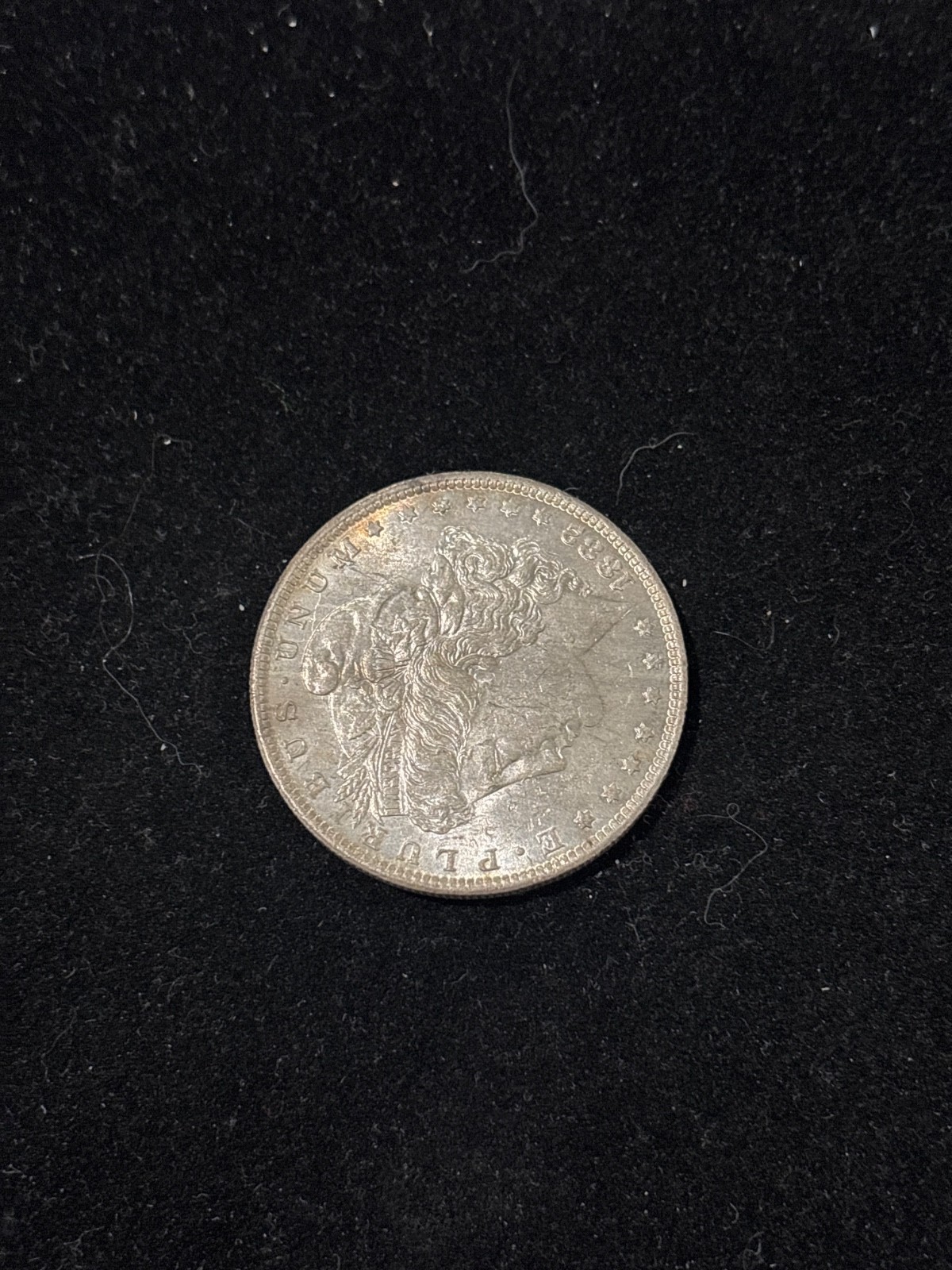 Morgan Silver Dollar 1882 O