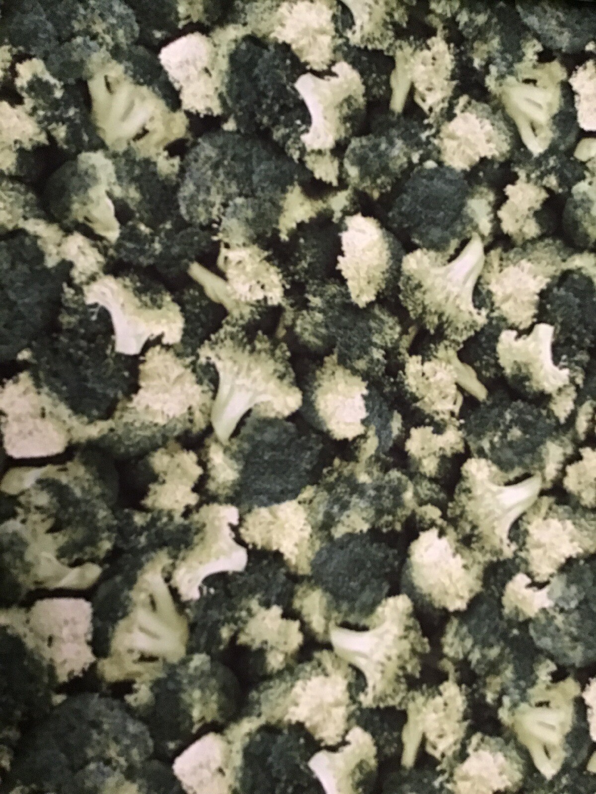 Fabric Brocoli 883, sold by the yard