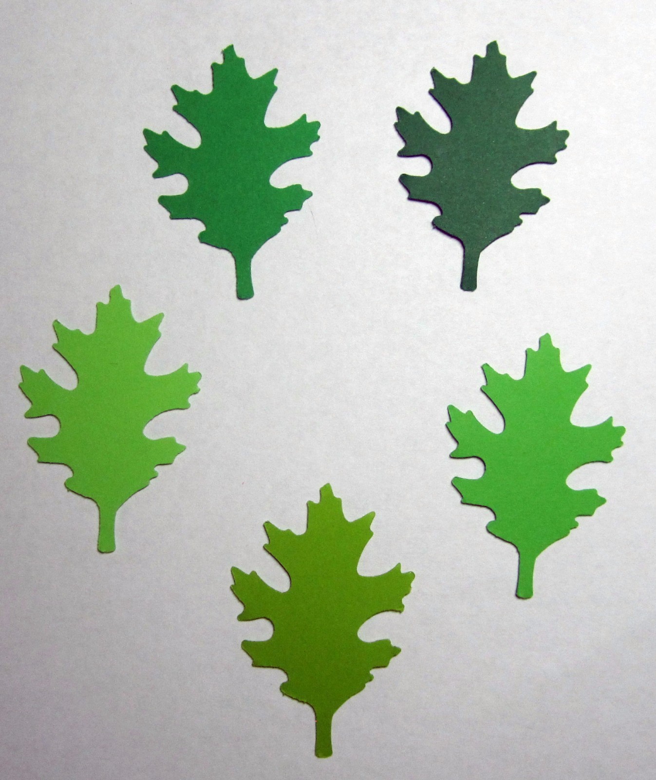 OAK LEAF LEAVES Set 60 piece 5 each color Punch Cutouts punch-outs U-Pick Size
