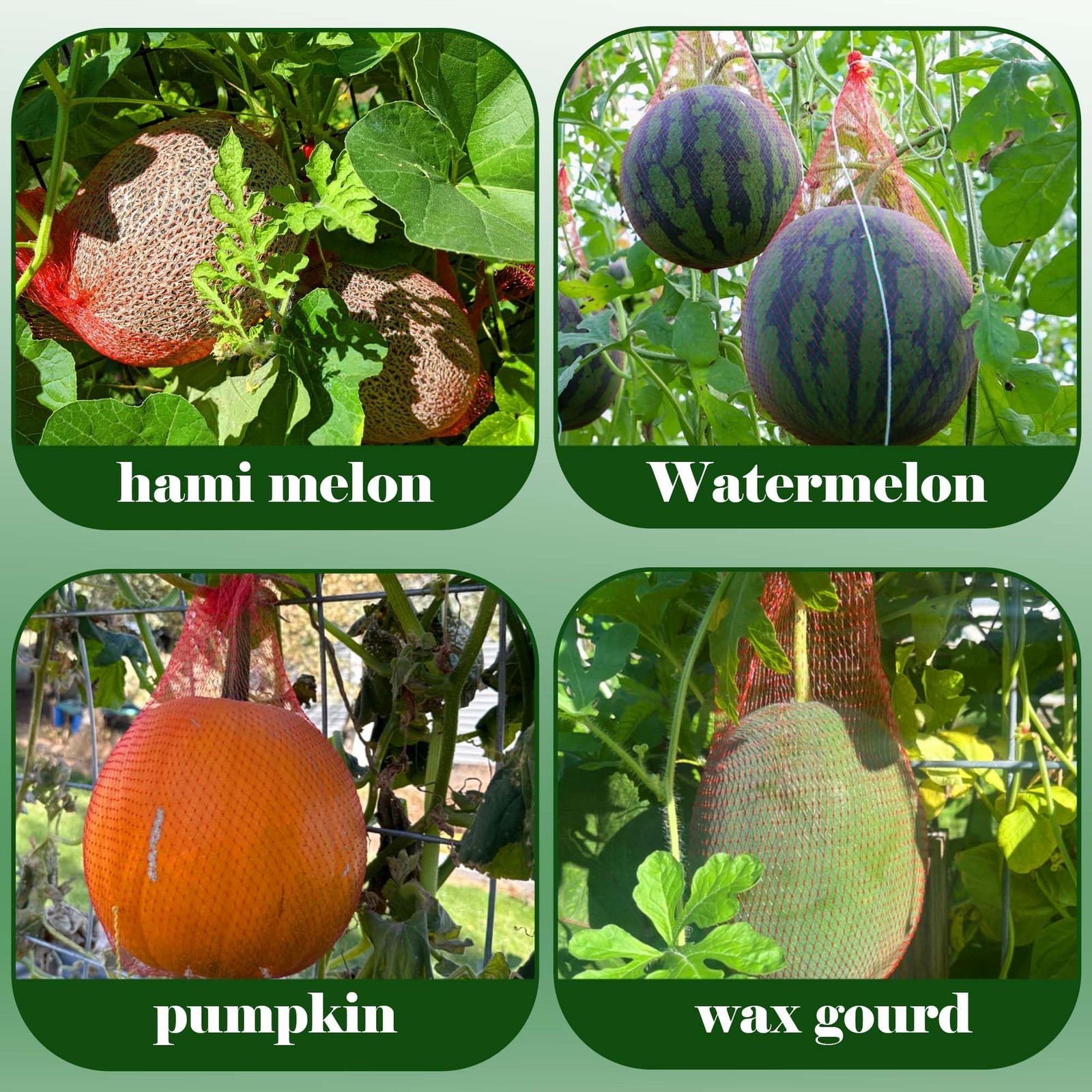 Iceyyyy 100 Pack Watermelon Nets,Hanging Nets Bags 100pcs