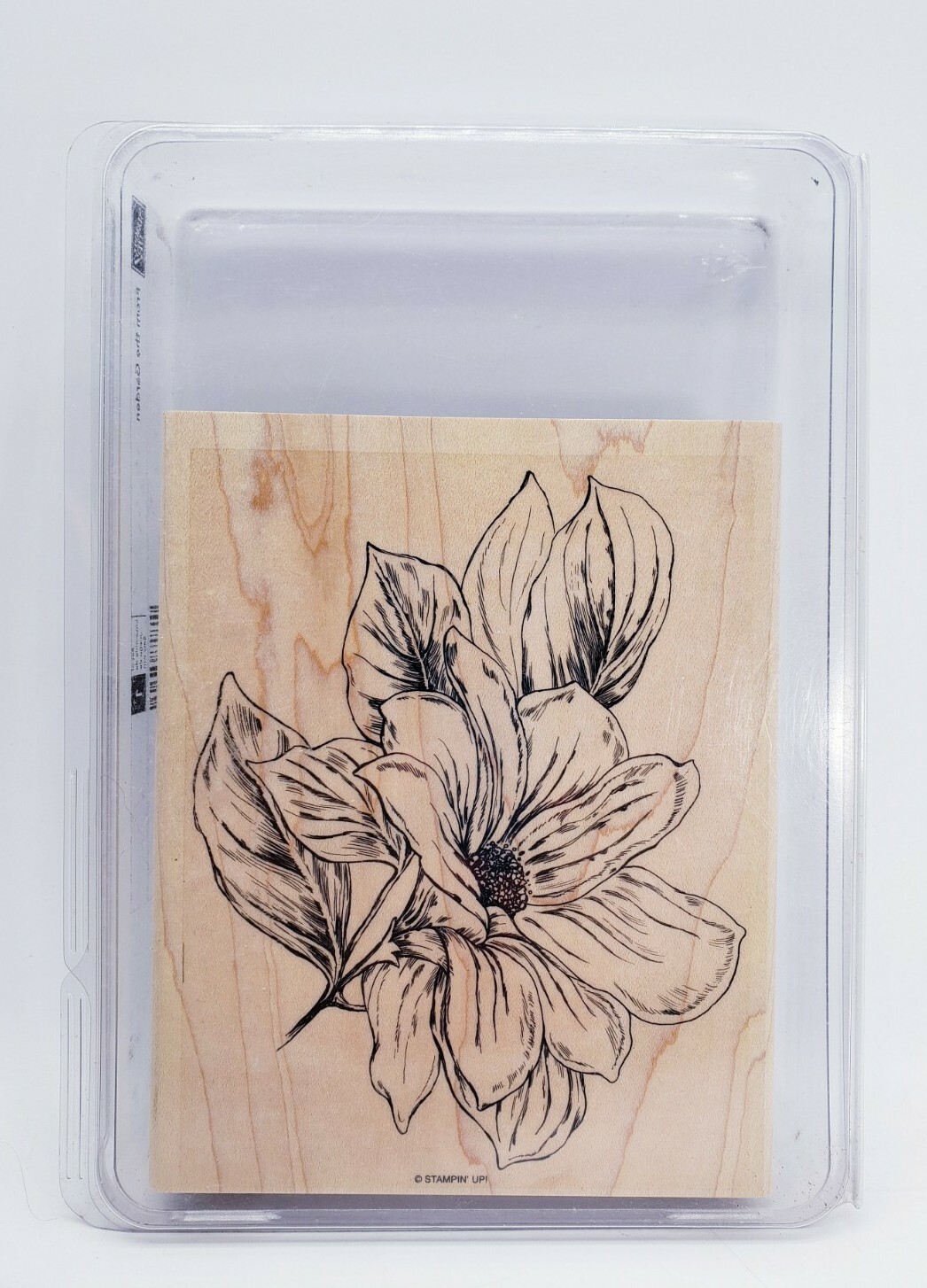 Stampin Up "From the Garden" Background Mounted Rubber Stamp, Flower