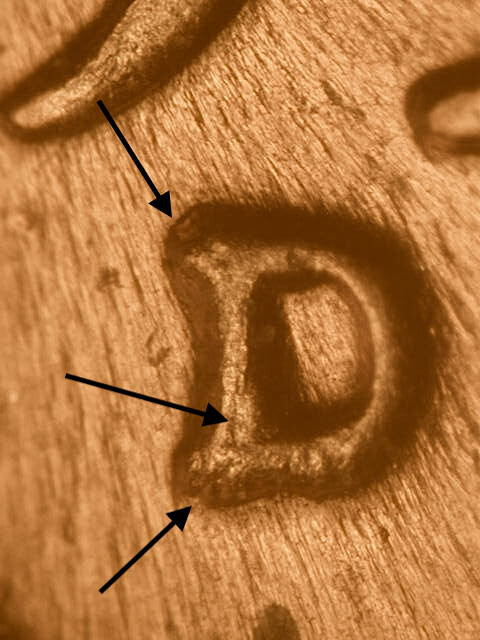 1956-D WRPM-050 D/D Tilted Lincoln Wheat Penny Cent~Nice BU/Uncirculated Red