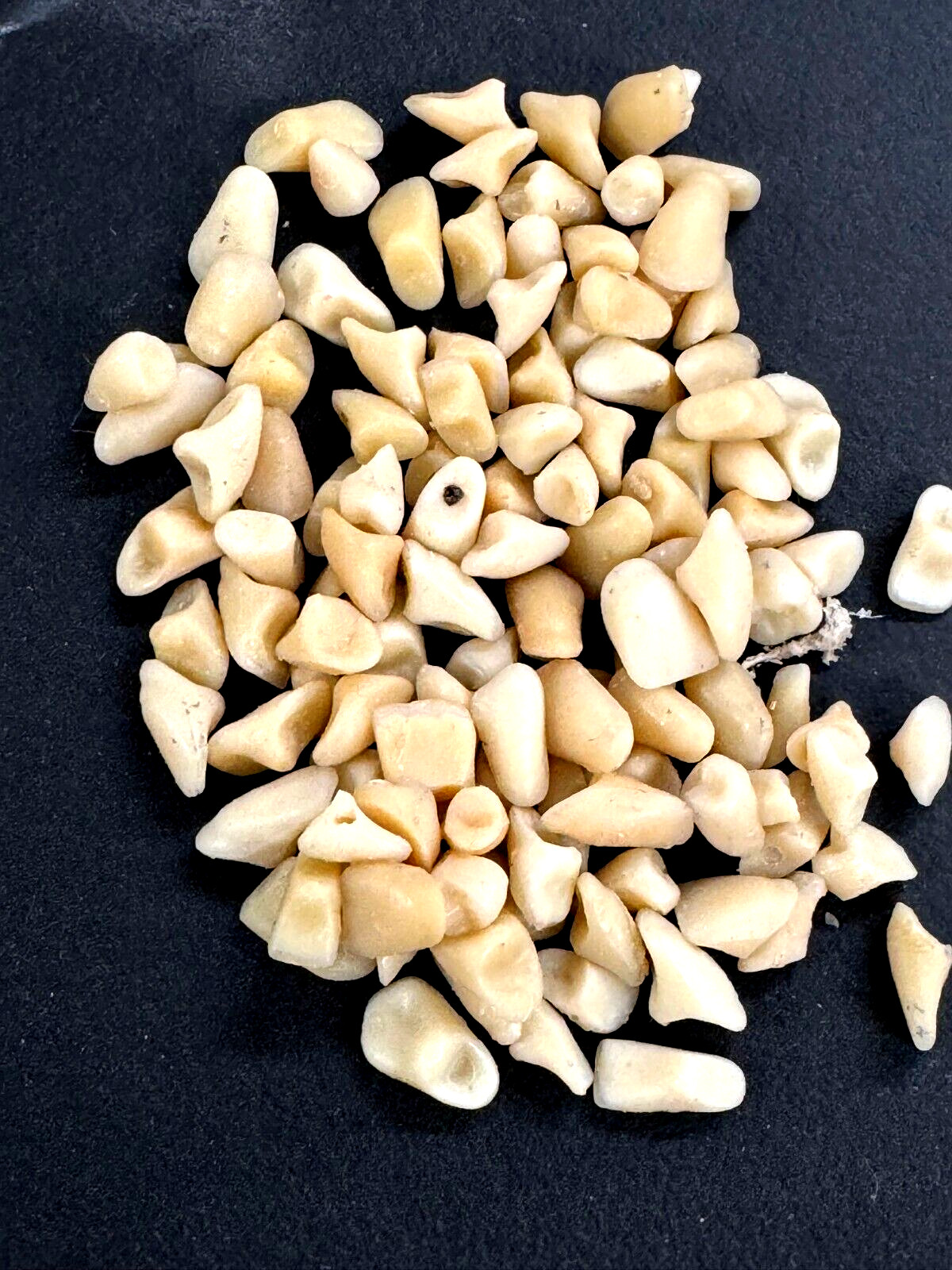 100 LOOSE TEETH  DIFFERENT SIZES AND SHADES DENTURE REPAIR: CRAFT: HOBBIE