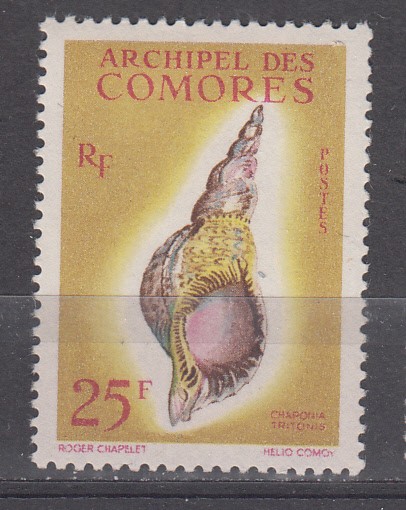 W COMORO 0053 MH SEASHELLS