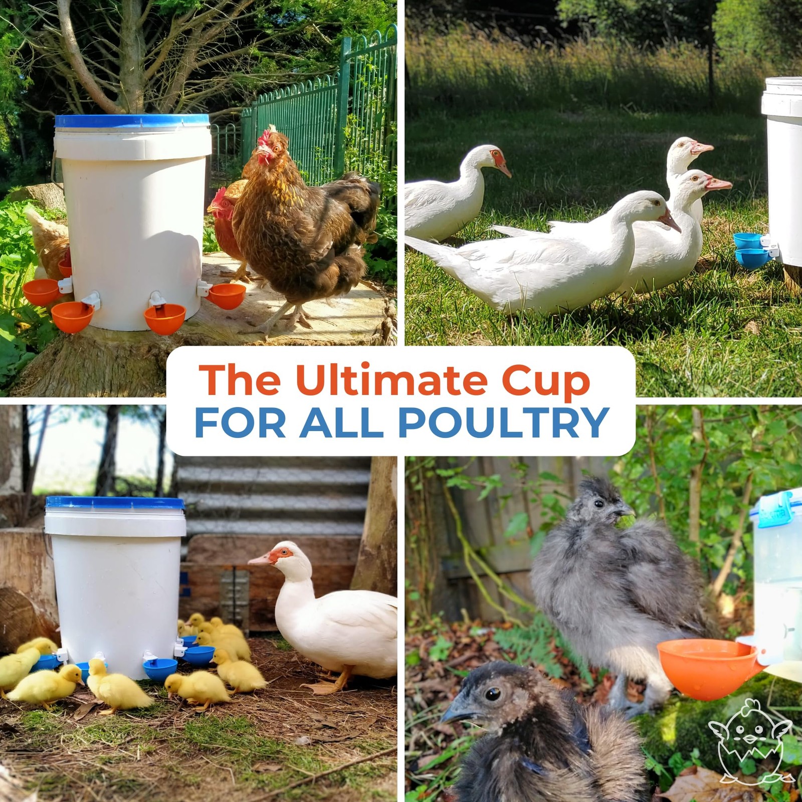 Large Automatic Chicken Waterer Cups | Chicken Water Feeder Suitable for Chic...