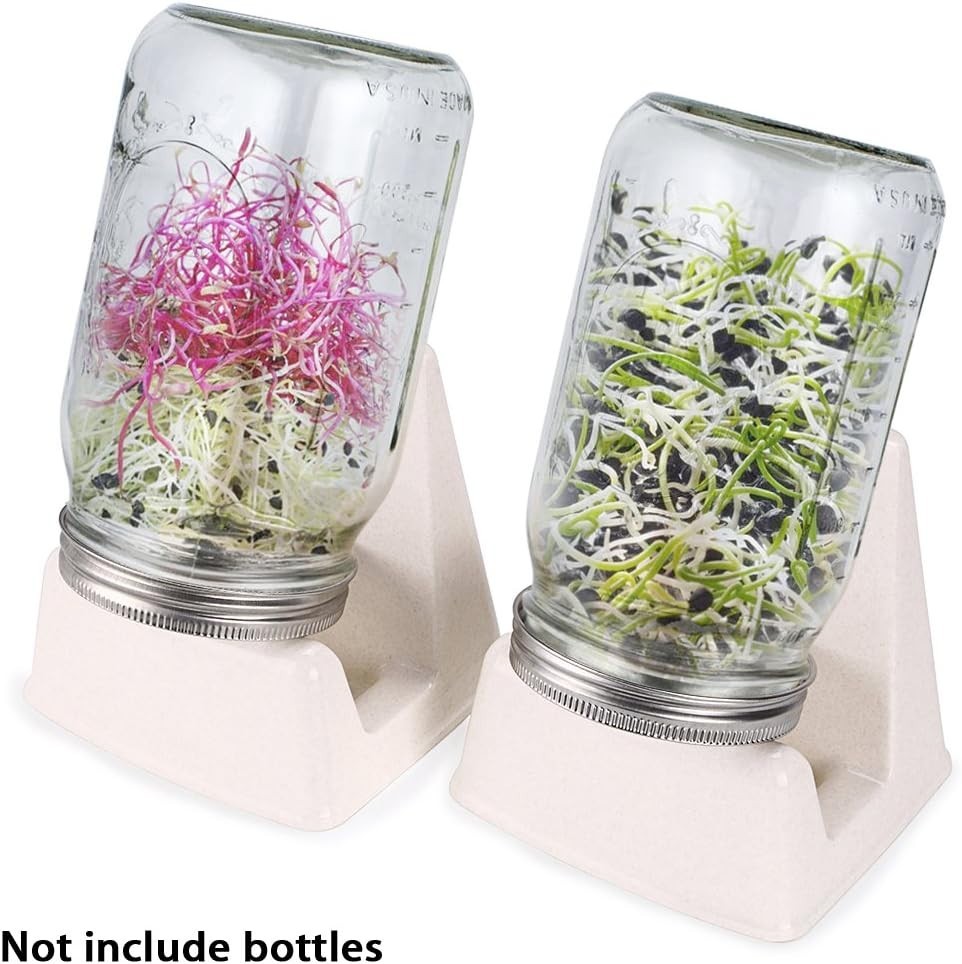 Versatile 3 Pack Sprouting Stands with Innovative Water Tray for Home Sprouts