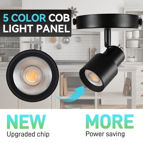 2-Pack Flush Mount LED Ceiling Spotlight Indoor, 10W Dimmable 2 Pack Black