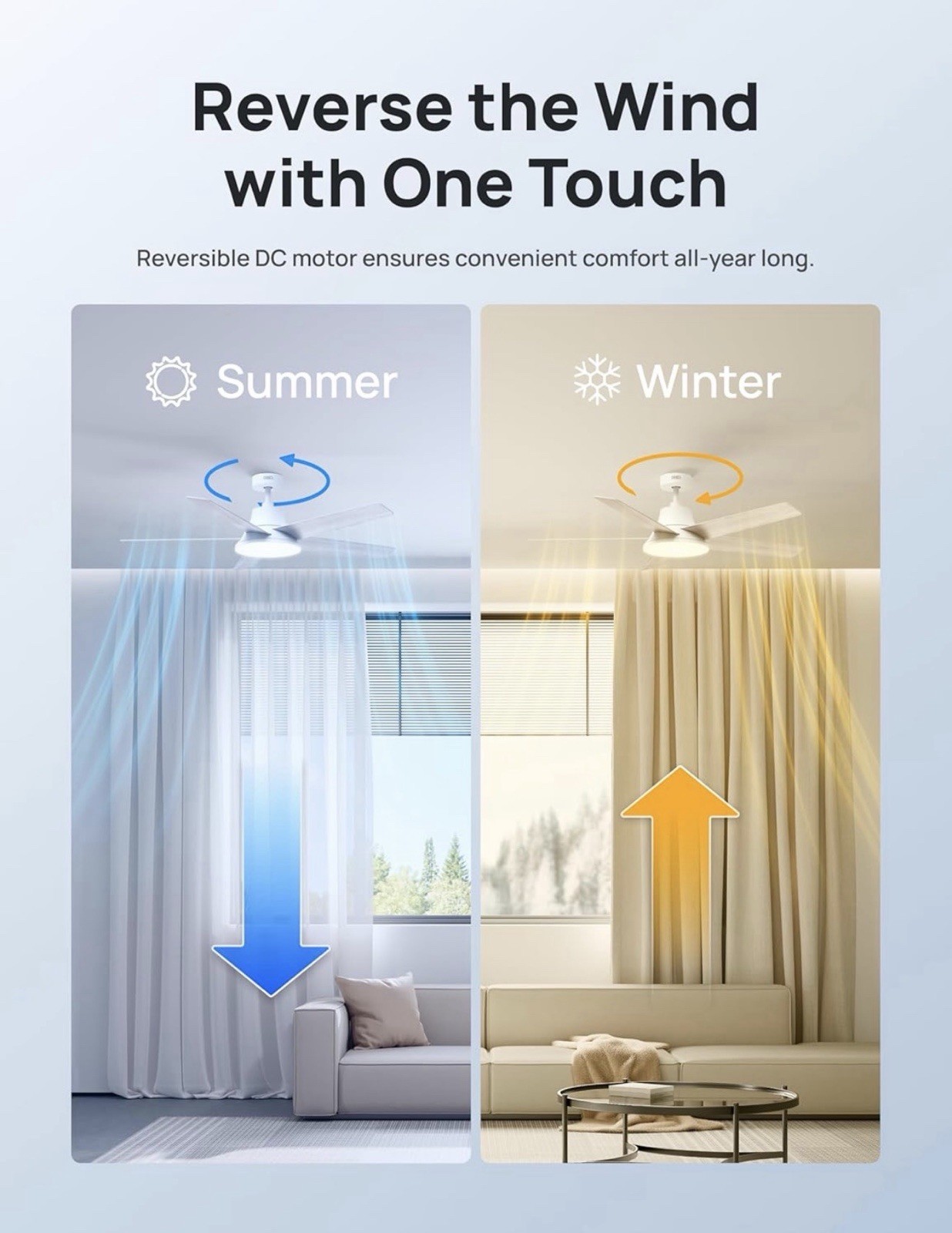 SMART Ceiling Fan