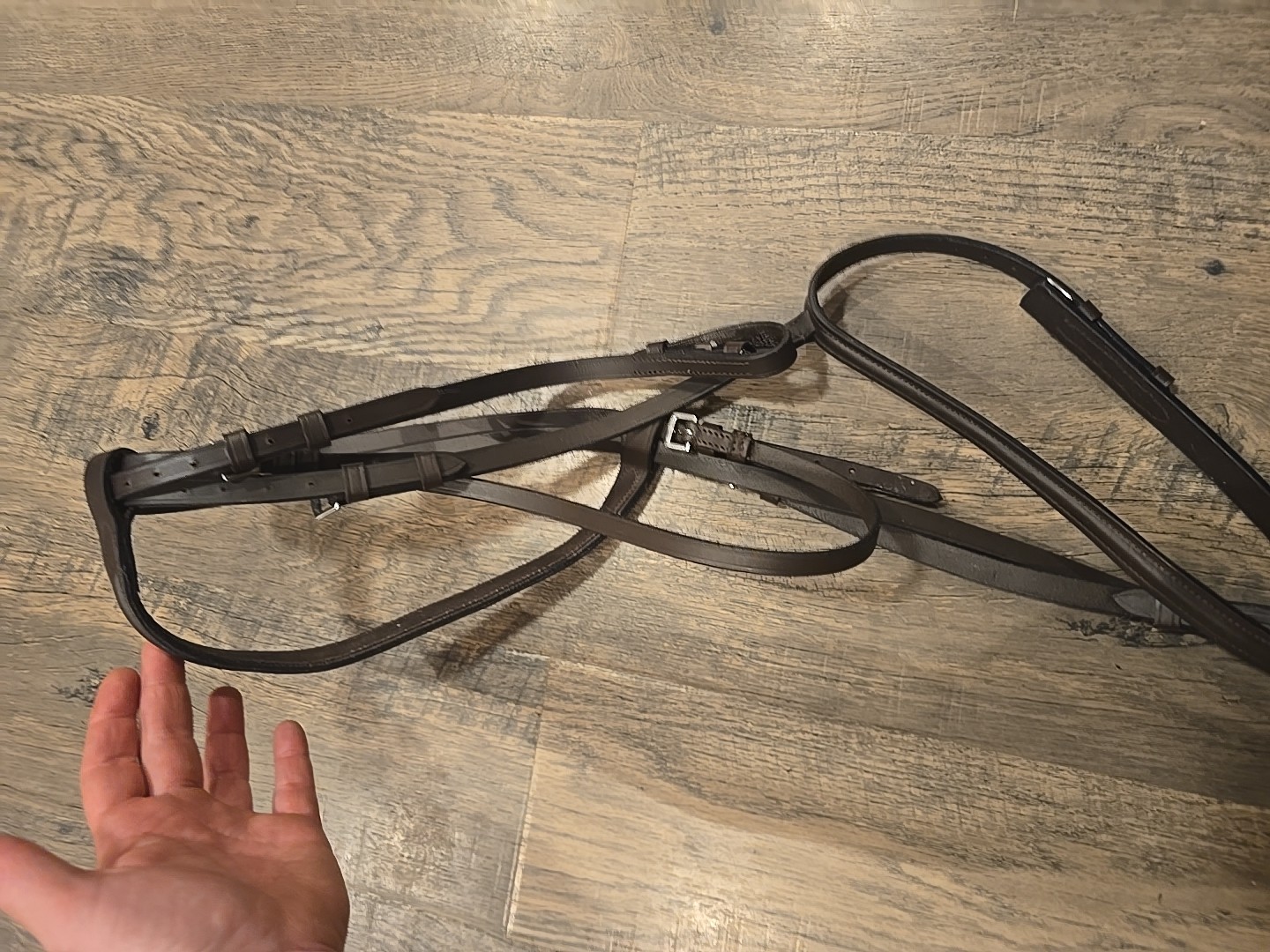 english headstall