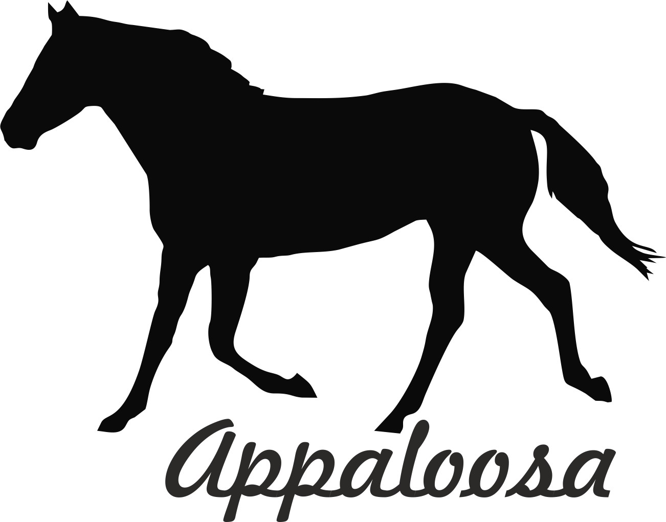 2x car stickers "APPALOOSA" horse sticker contour cut (11x9 cm)