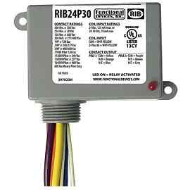 Functional Devices RIB24P30 Relay 24 Vac/dc 30 Amp DPDT