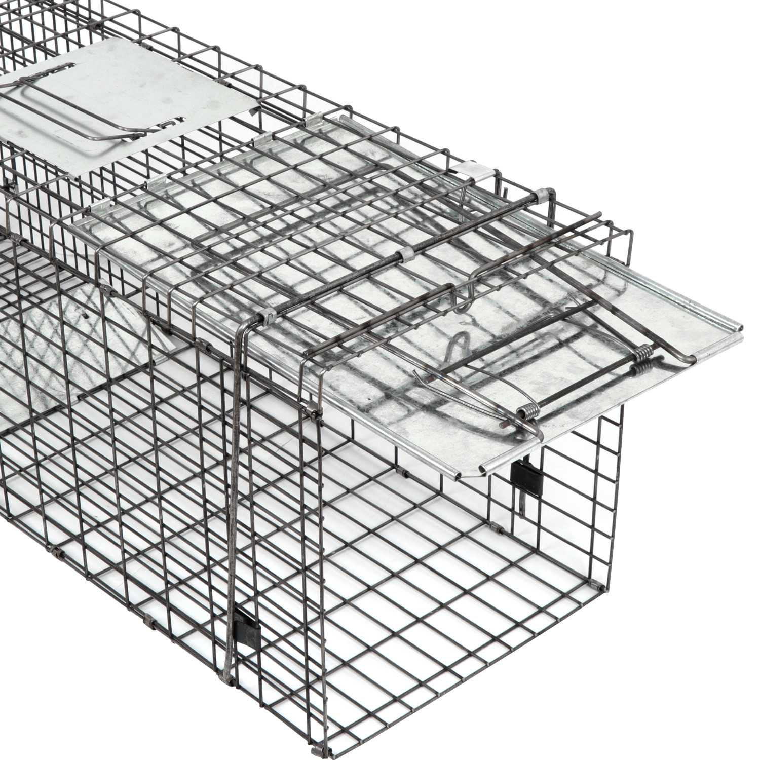32" Humane Animal Trap Steel Cage for Live Rodent Control Rat Squirrel Raccon