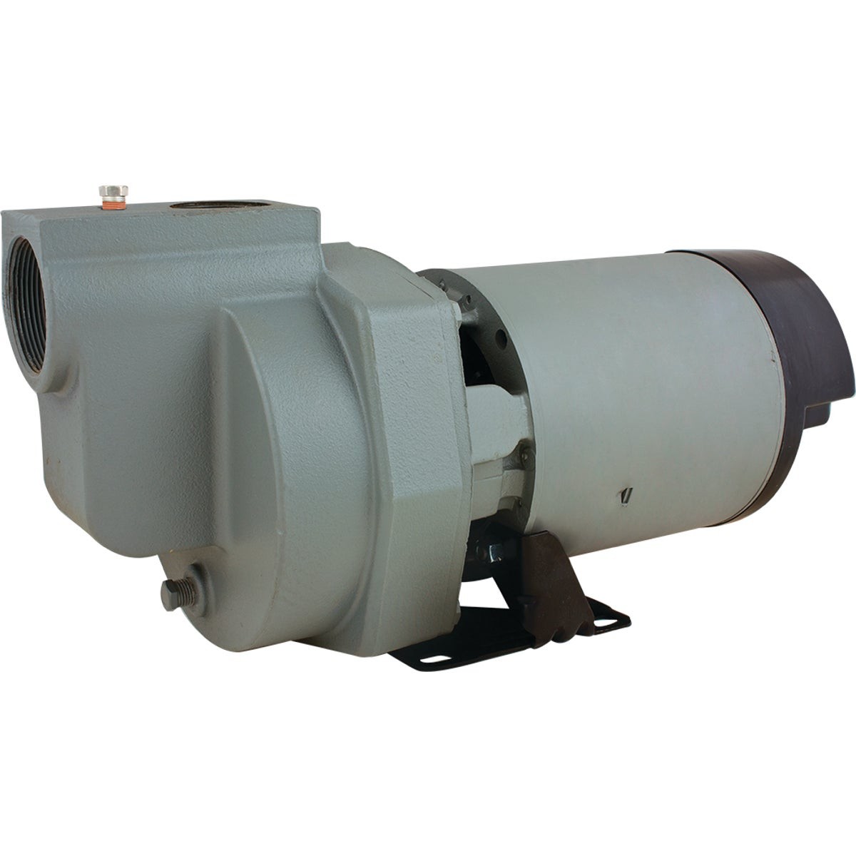 Star Water Systems 1-1/2  115/230V 4020 GPH Self-Priming Lawn Irrigation