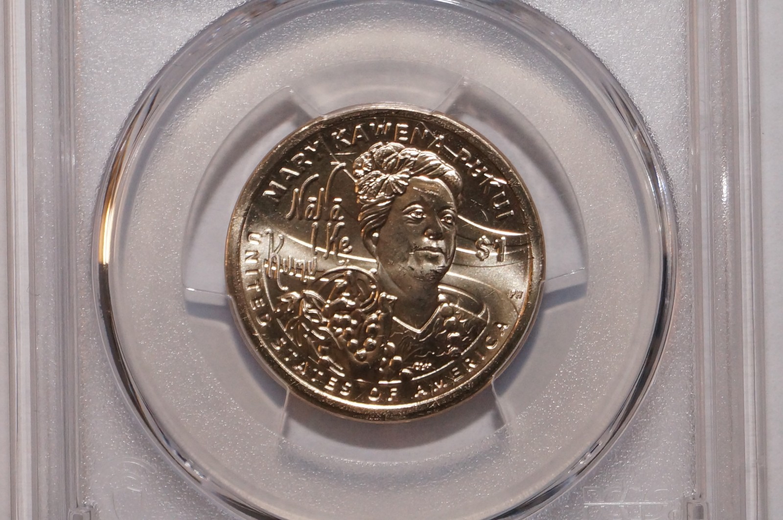 2025-P NATIVE AMERICAN DOLLAR POSITION B GRADED PCGS MS66 FIRST STRIKE