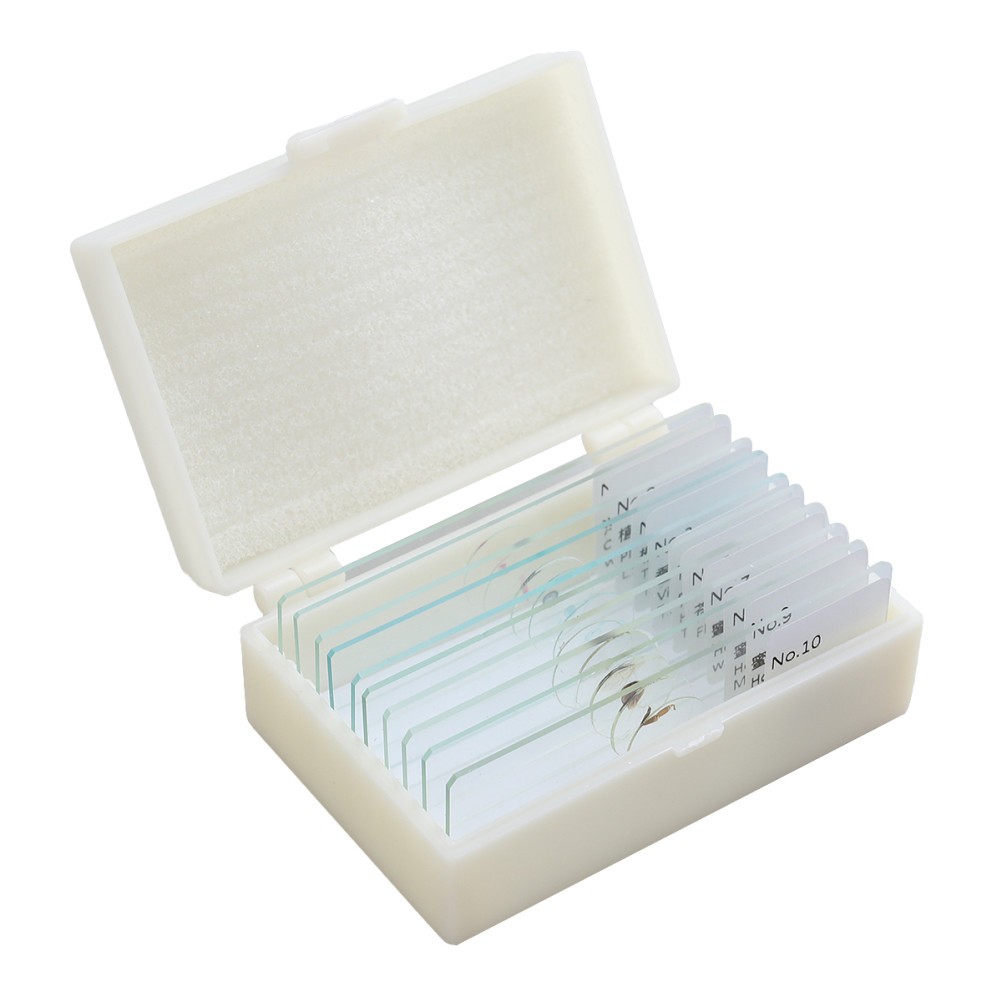 10 PCS/Set Blank Microscope Slides with Specimens Plants Biology