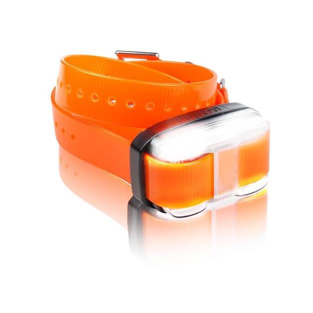 Dogtra Edge Remote Trainer Extra E Collar Receiver Orange Strap