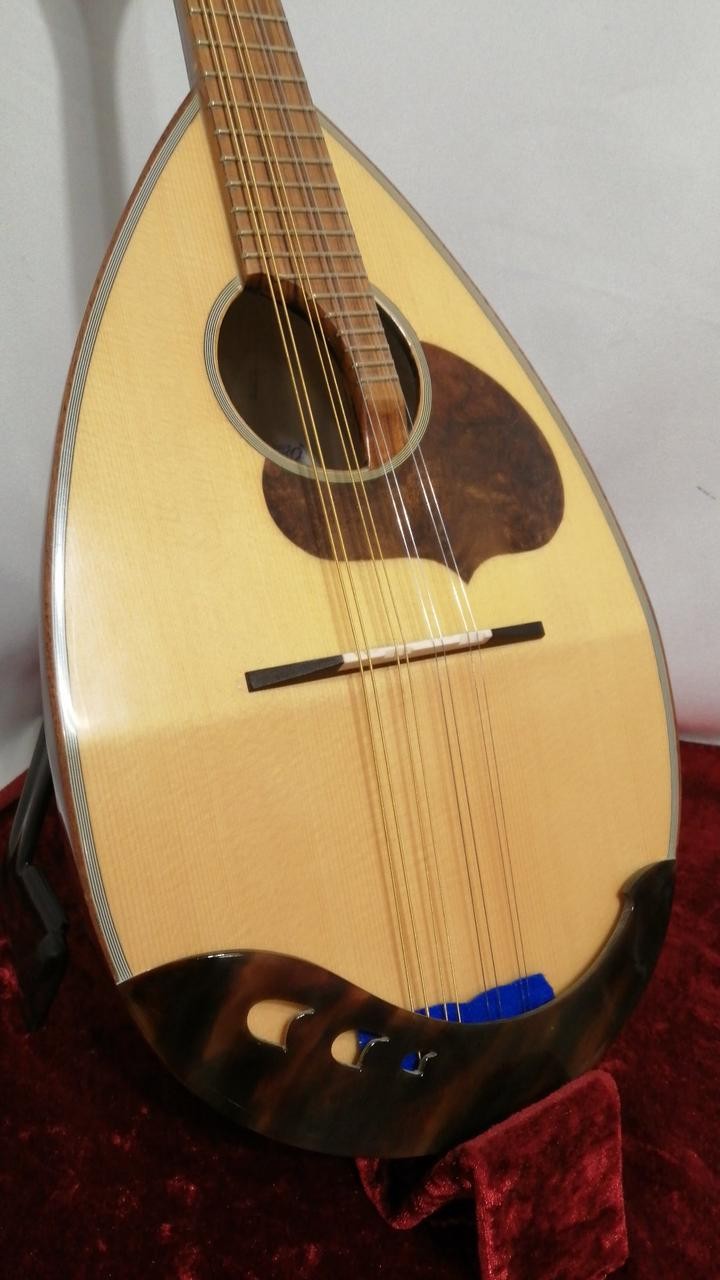 CALACE No.24 Mandolin