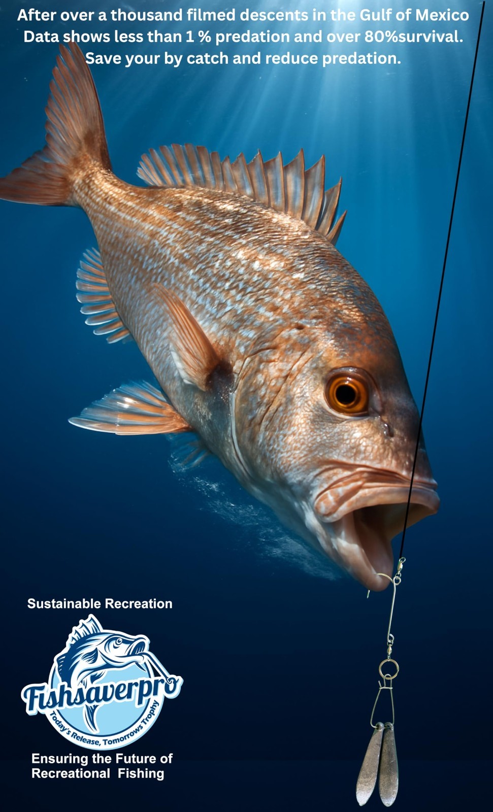 Compact Fish Descending Device - Reliable Release Tool for Red Snapper, NOAA Com