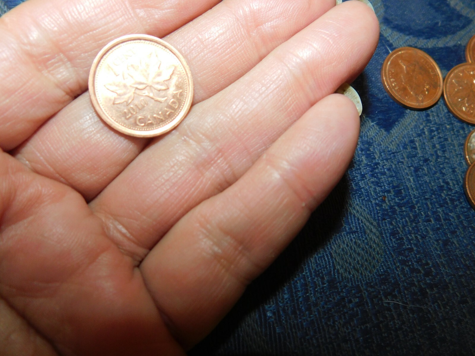 COLLECTABLE VINTAGE CANADA 1 CENT COIN QUEEN ELIZABETH II 2010