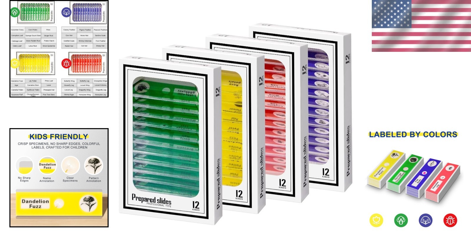 48-Pack Microscope Slides Featuring Plants, Insects - Perfect for STEM Learning