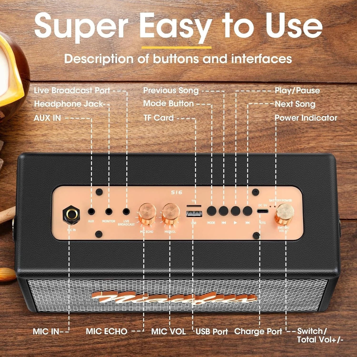 Portable Karaoke System with 2 Microphones