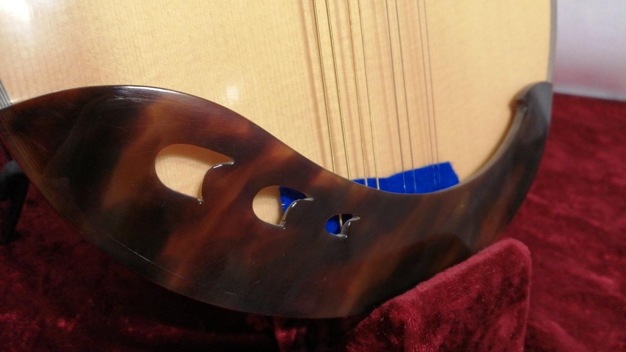 CALACE No.24 Mandolin