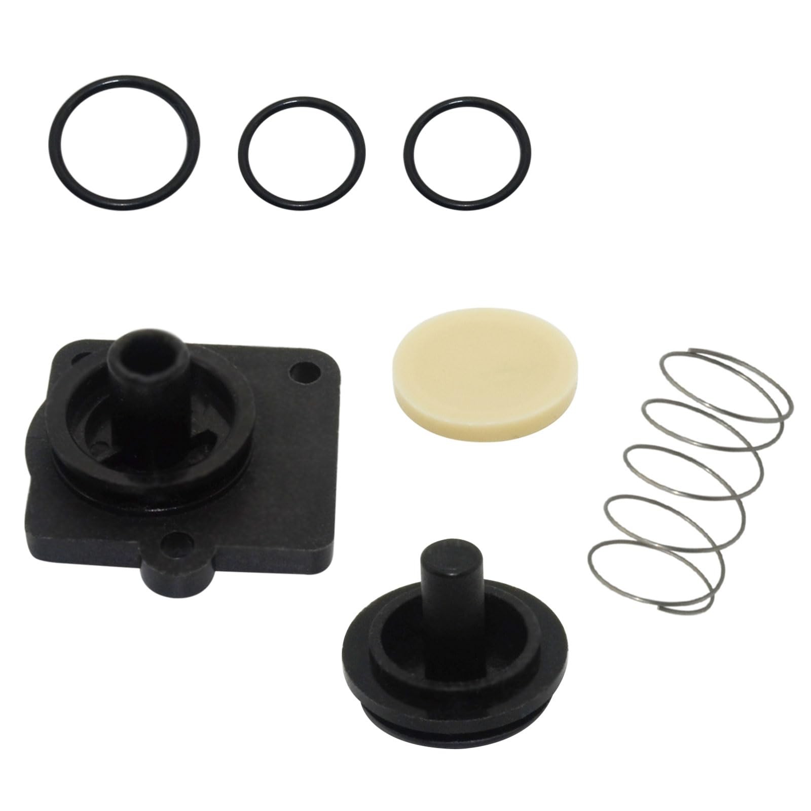 with Gaskets for 4008 Pump Check Valve Model