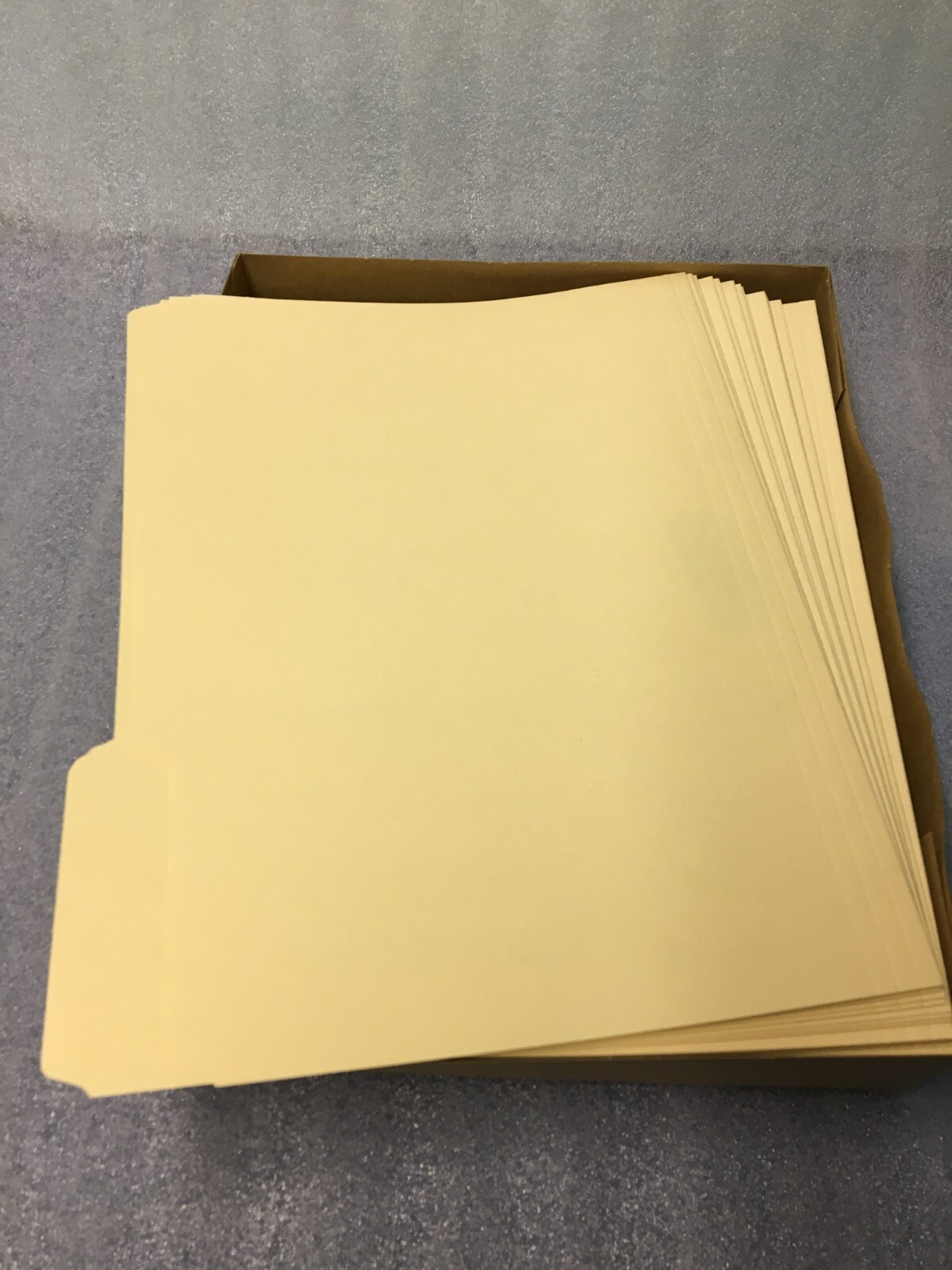 STAPLES 3 Tab File Folders 100