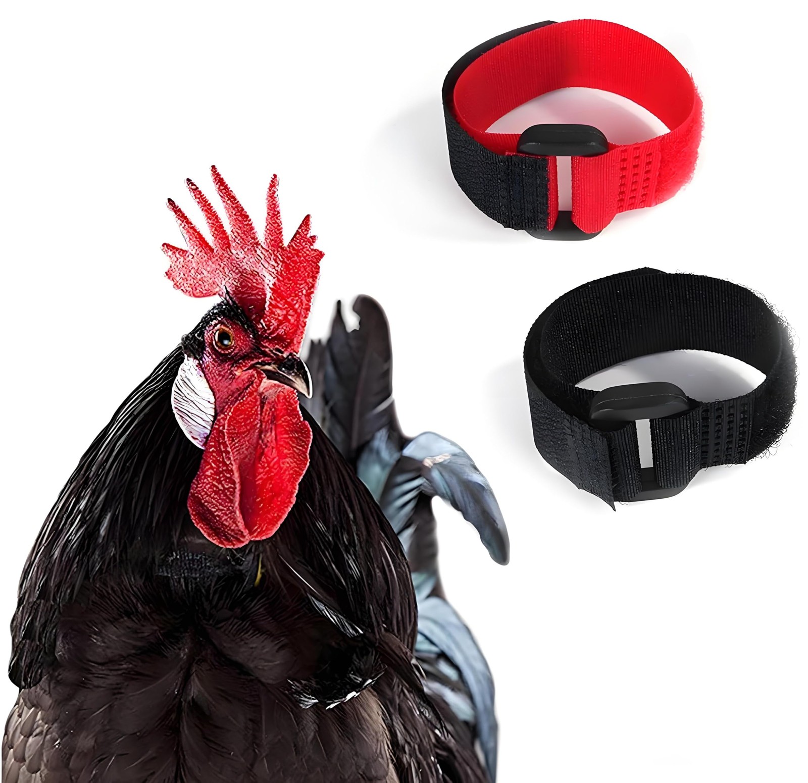 â€‹2Pcs Crow Rooster Collars, Adjustable Nylon Anti-Noise Neck Belt for Chick...