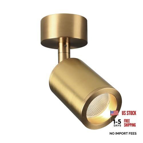 Aisilan Solid Copper Surface Mounted Angle Adjustable 7W-3000K Warm White Gold