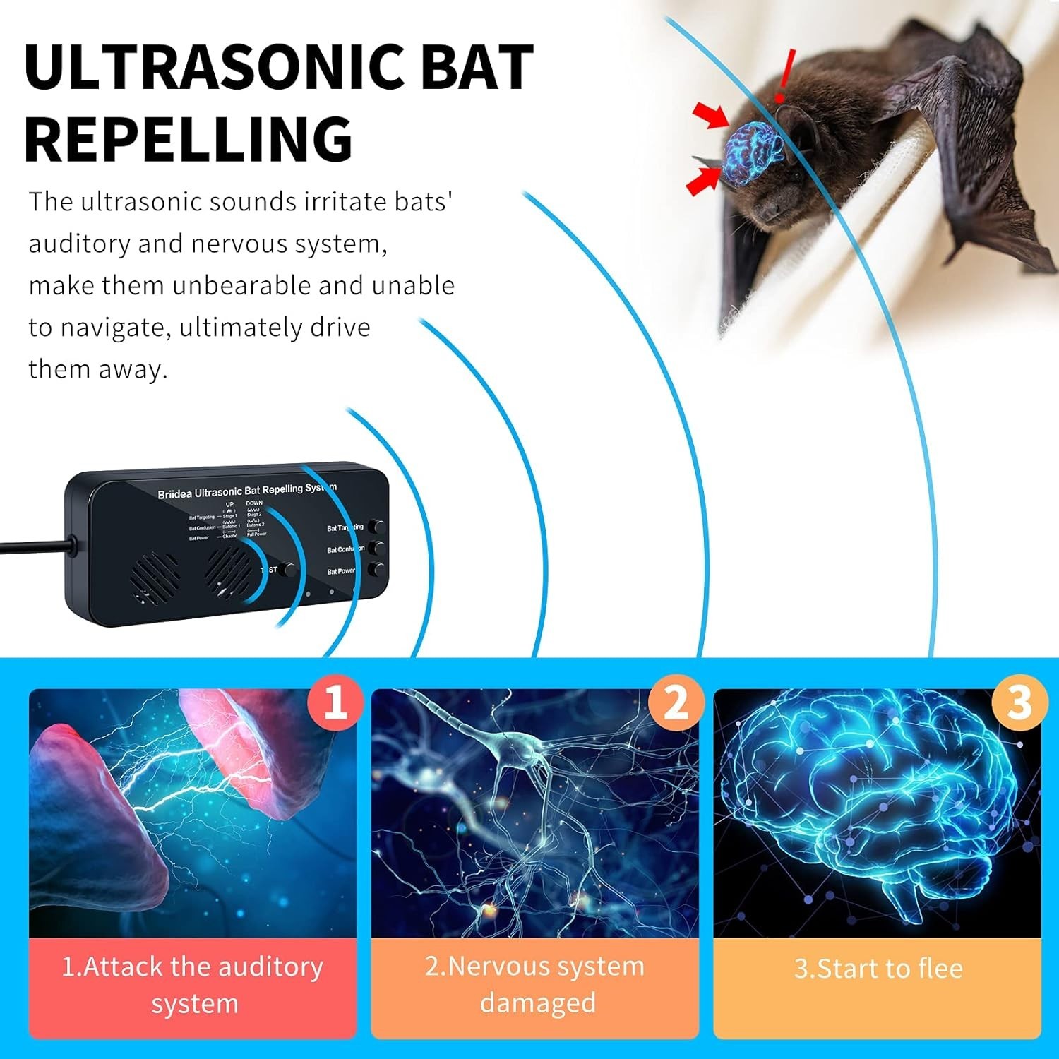 Ultrasonic Bat Removal System