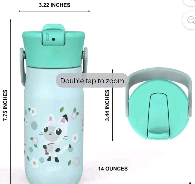 Zak Designs Gabby's Dollhouse 14 Ounce Water Bottle Kids Stainless Steel NEW