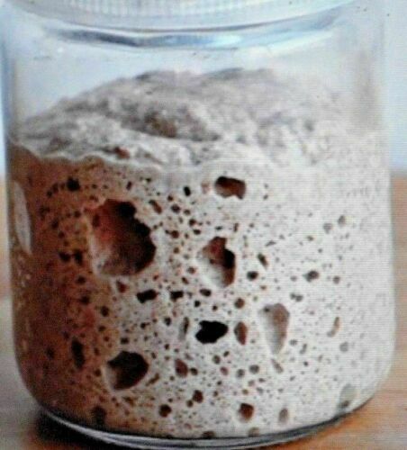 San Francisco SOURDOUGH live dried YEAST Purely Organic wharf FRESH BATCH bonz