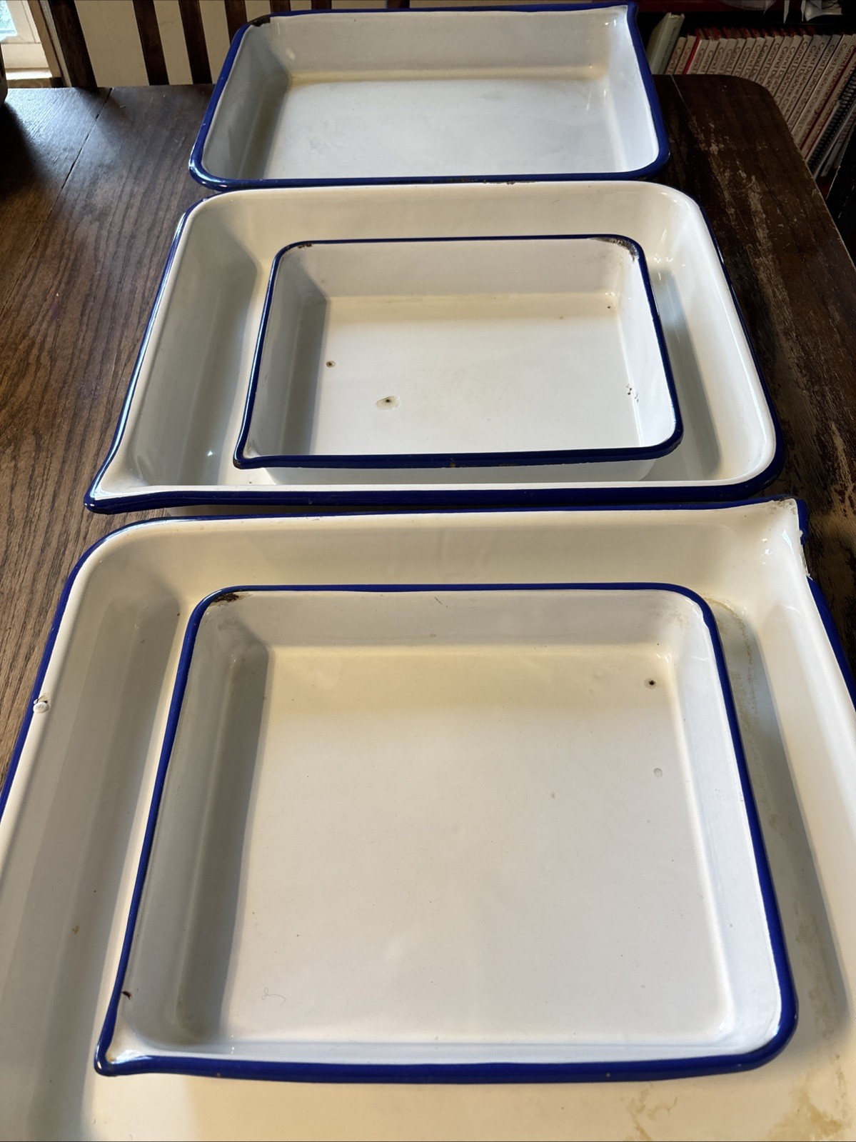 Lot Of 5 Vintage Cesco Enamel Photographic Acid-Resistant Blue White Trays 14x17