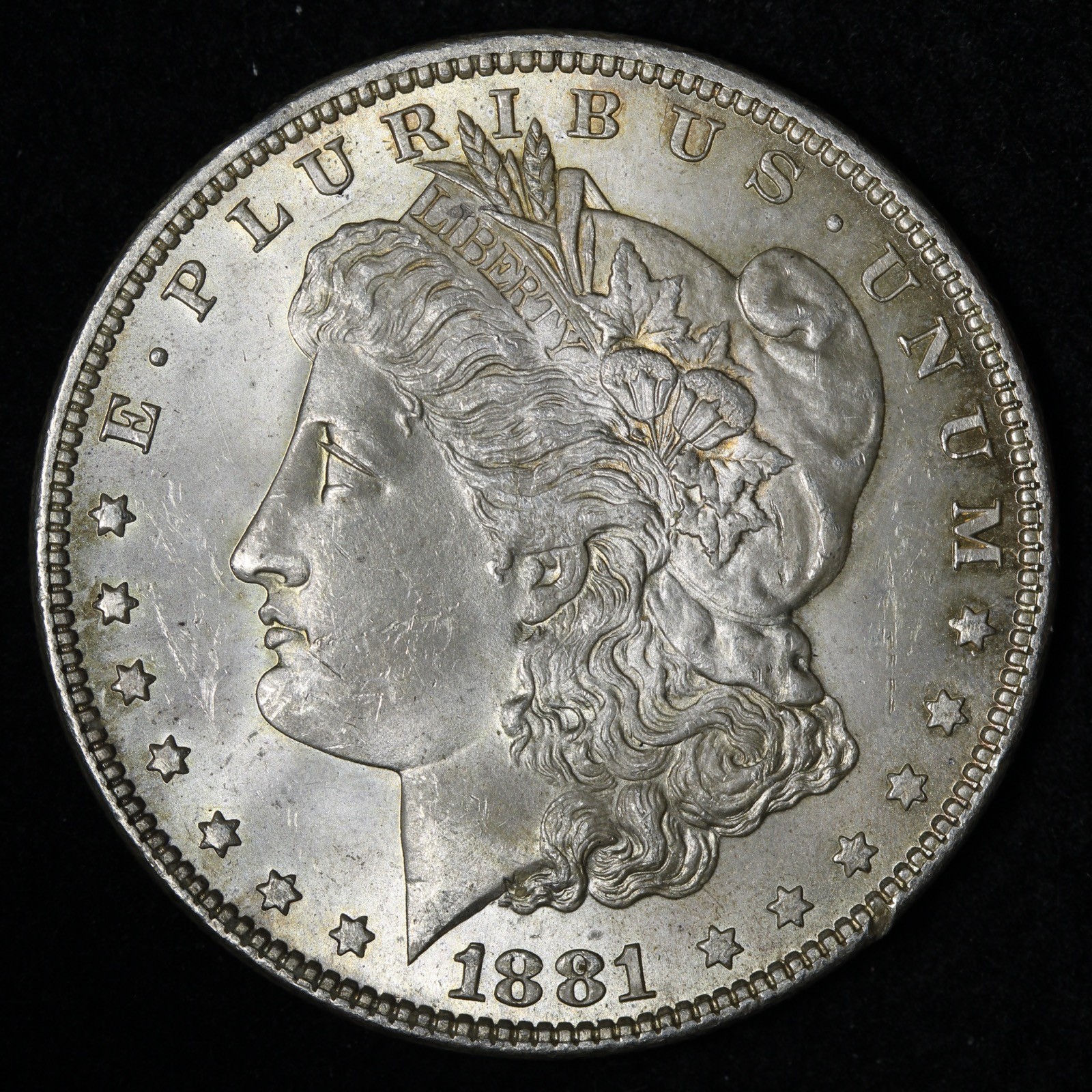 1881 Morgan Silver Dollar BU *UNCIRCULATED* MS TONED E302 WVUA
