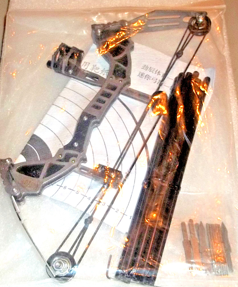9.5" Mini Compound Bow and Arrow Set with 12 Arrows Target Shooting Archery Toy
