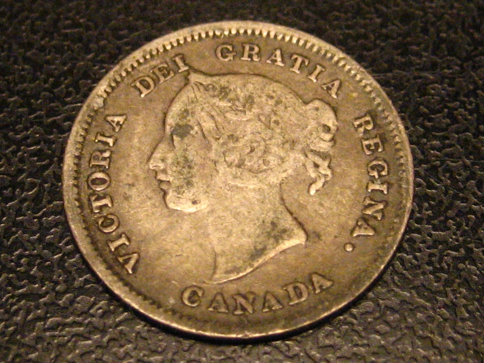 1880 H Canadian 5 Cent Silver Obv. 3 #2