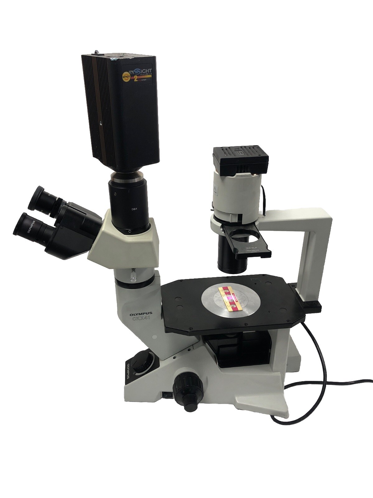 Olympus CKX41 Inverted Microscope with Phase Contrast 4 objective 4,10,20,40