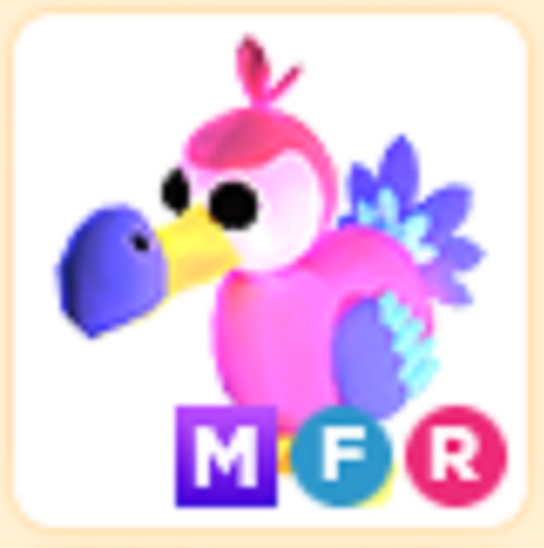 Summer Festival | MFR Dodo | Adopt From