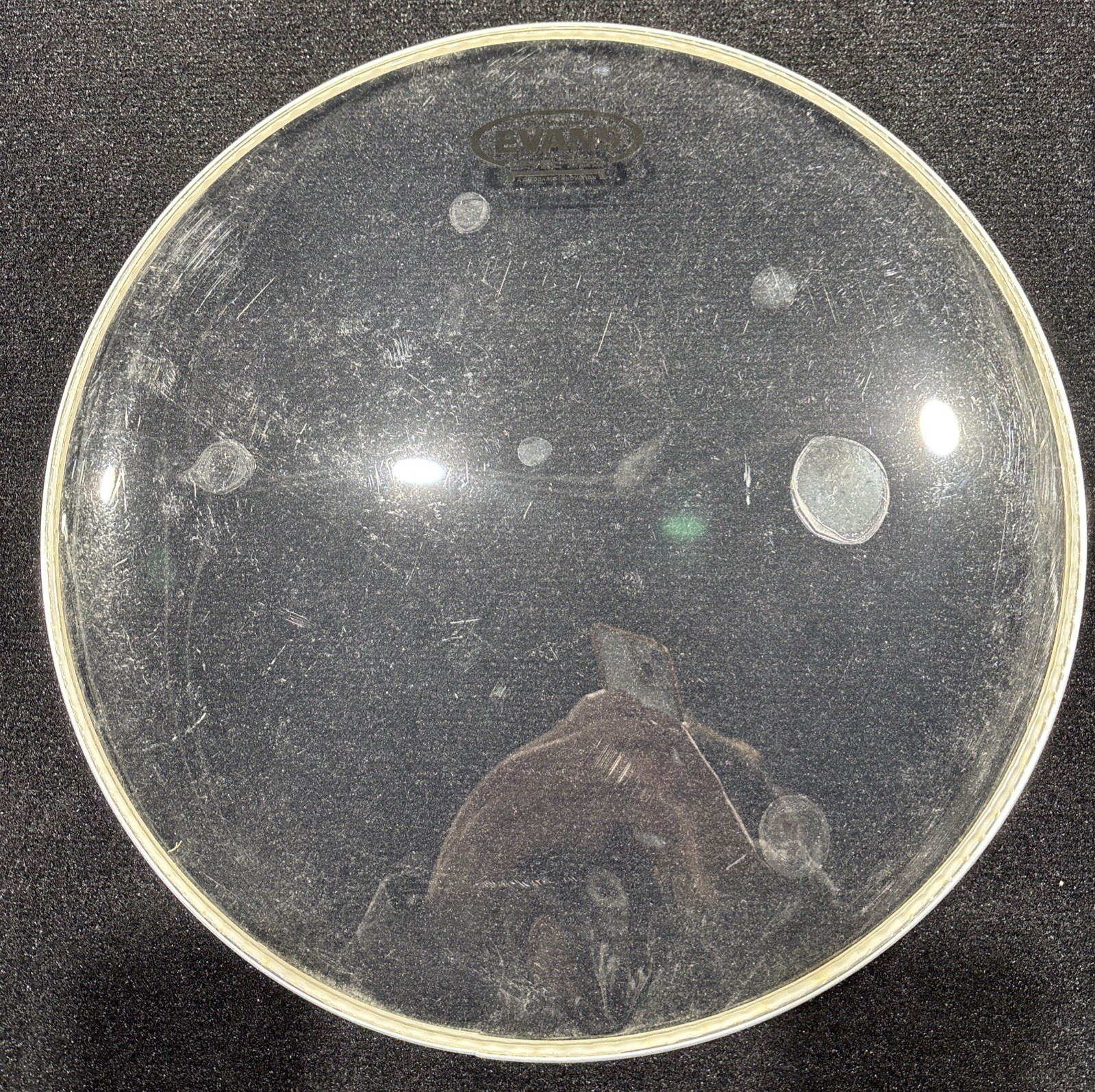 Evans Hydraulic Series Drumhead - 14" - Glass