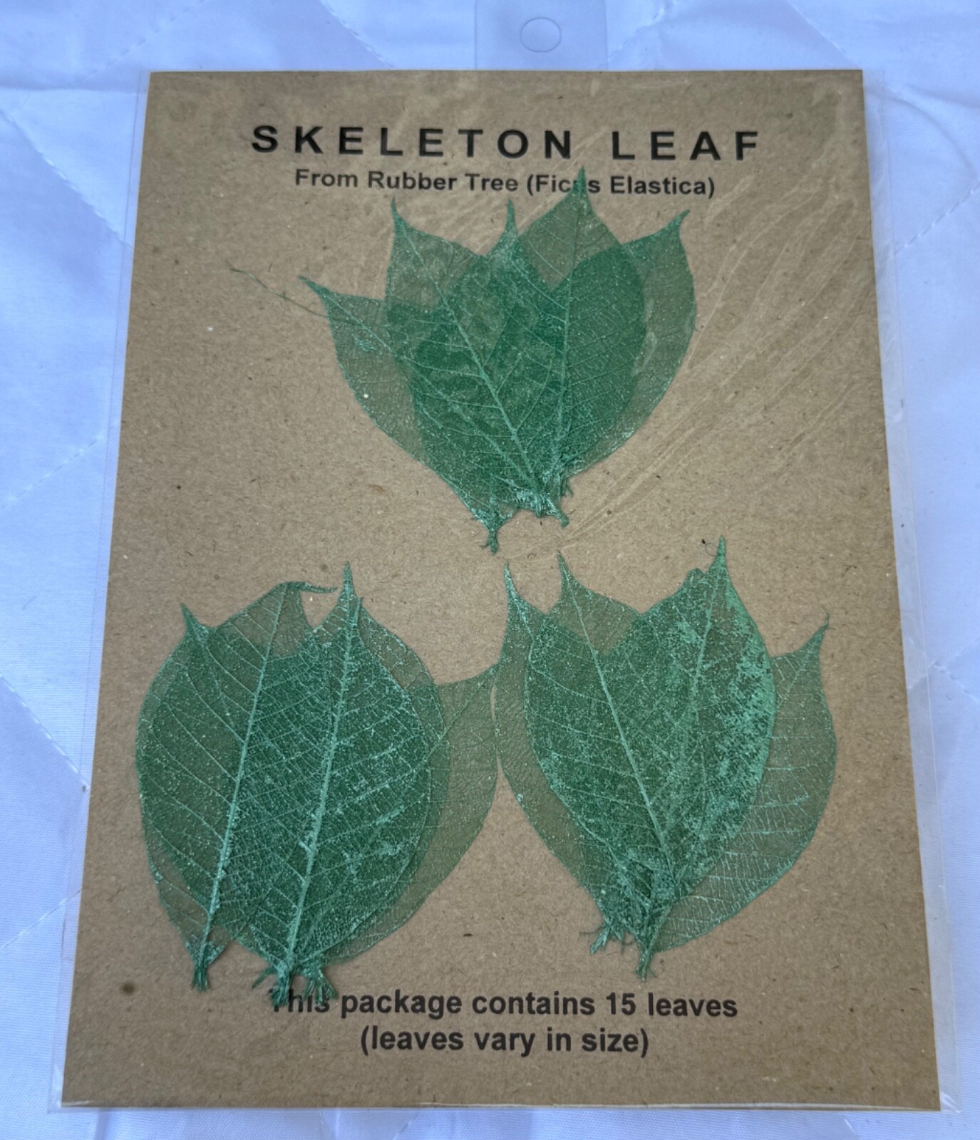 15 Vtg Rubber Tree Skeleton Leaves Scrapbooking Crafts Card Making ~ EMERALD