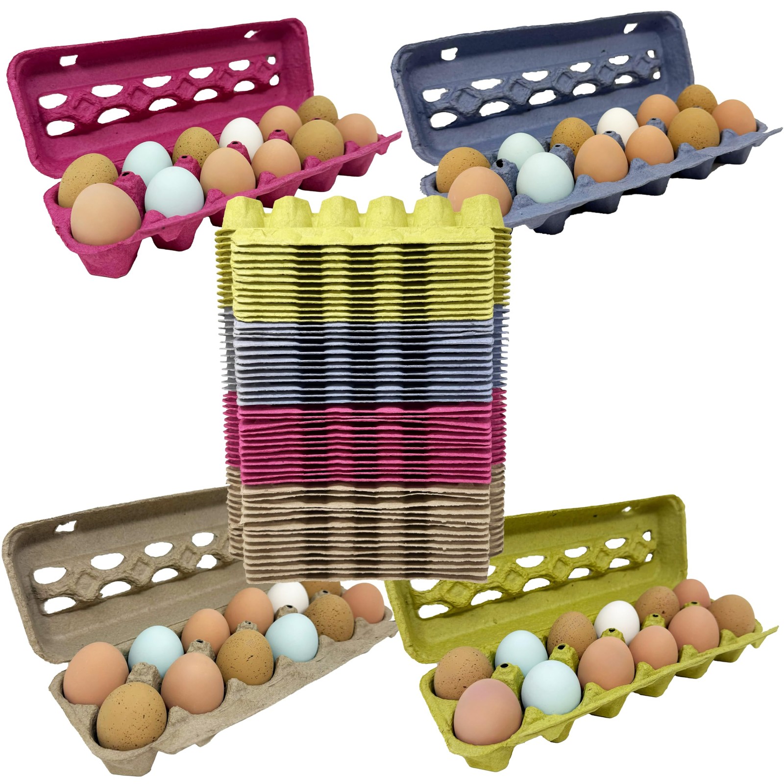 Paper Pulp Egg Cartons Assorted Colors 50 Pack