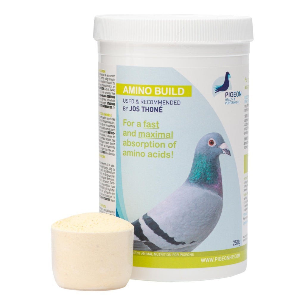PHP Starter Fond Kit Racing Pigeon Supplements Long-Distance Performance Kit